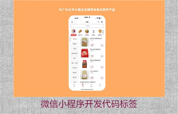 微信小程序开发代码标签(图2) 微信小程序开发代码标签2.jpg