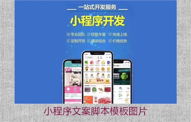 小程序文案脚本模板图片(图2) 小程序文案脚本模板图片2.jpg