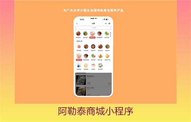 阿勒泰商城小程序(图2) 阿勒泰商城小程序2.jpg