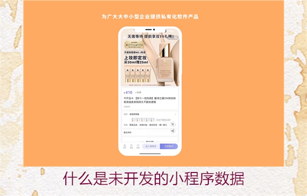 什么是未开发的小程序数据2.jpg