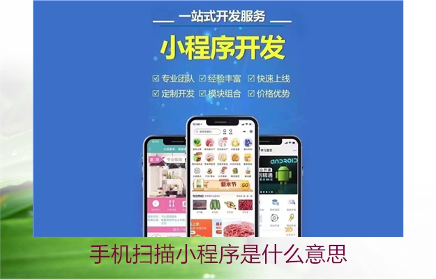 手机扫描小程序是什么意思(图2) 手机扫描小程序是什么意思2.jpg