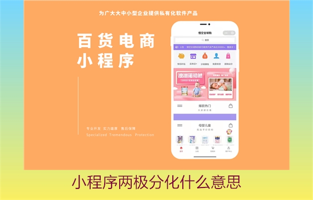 小程序两极分化什么意思(图3) 小程序两极分化什么意思3.jpg