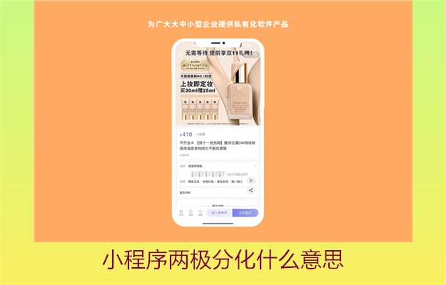 小程序两极分化什么意思(图2) 小程序两极分化什么意思2.jpg