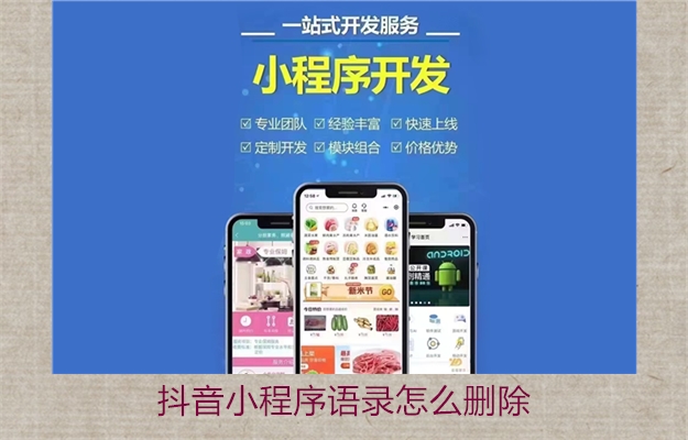 抖音小程序语录怎么删除(图2) 抖音小程序语录怎么删除2.jpg