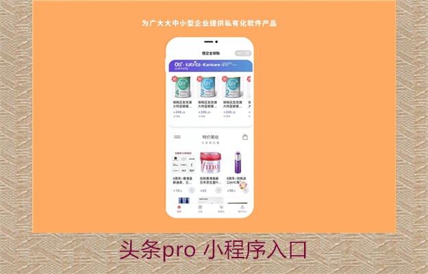 头条pro 小程序入口(图2) 头条pro 小程序入口2.jpg
