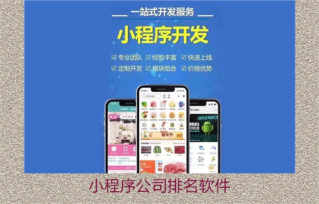 小程序公司排名软件(图2) 小程序公司排名软件2.jpg