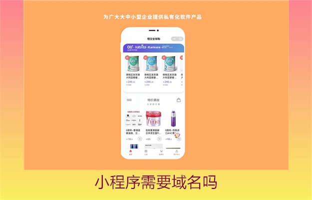 小程序需要域名吗(图2) 小程序需要域名吗2.jpg