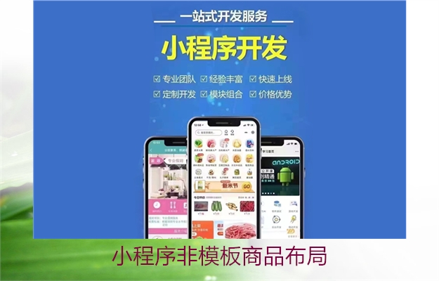 小程序非模板商品布局(图2) 小程序非模板商品布局2.jpg