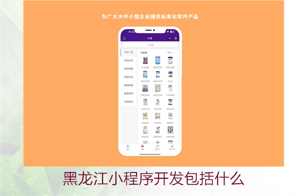 黑龙江小程序开发包括什么(图2) 黑龙江小程序开发包括什么2.jpg
