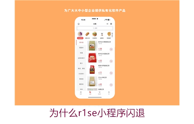 为什么r1se小程序闪退(图2) 为什么r1se小程序闪退2.jpg