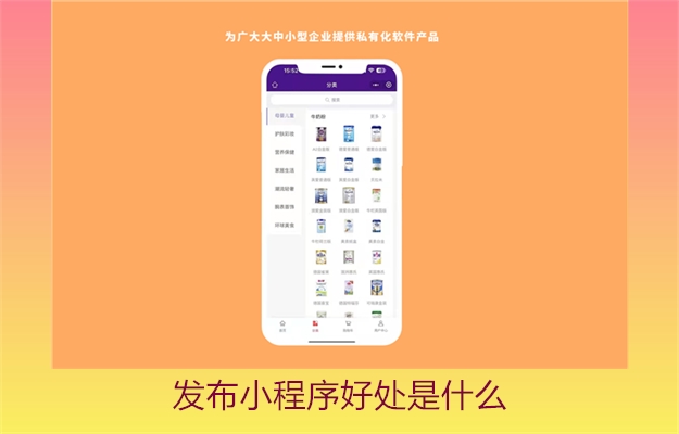 发布小程序好处是什么(图3) 发布小程序好处是什么3.jpg