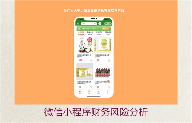 微信小程序财务风险分析(图2) 微信小程序财务风险分析2.jpg