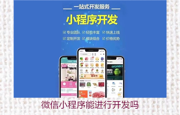 微信小程序能进行开发吗(图2) 微信小程序能进行开发吗2.jpg