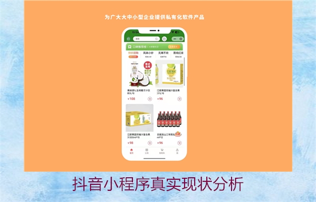 抖音小程序真实现状分析(图2) 抖音小程序真实现状分析2.jpg