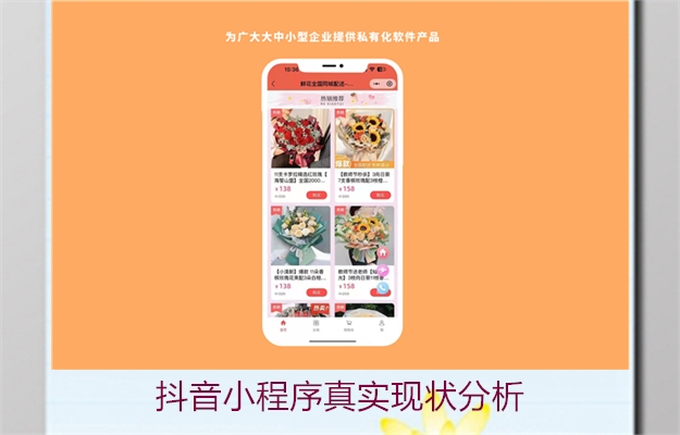 抖音小程序真实现状分析(图3) 抖音小程序真实现状分析3.jpg