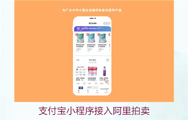 支付宝小程序接入阿里拍卖3.jpg